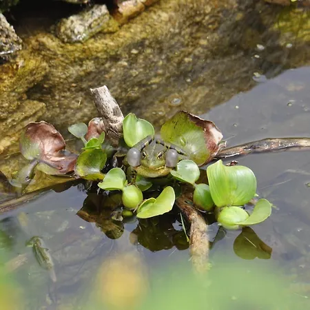 Countryside With Private Terrace *