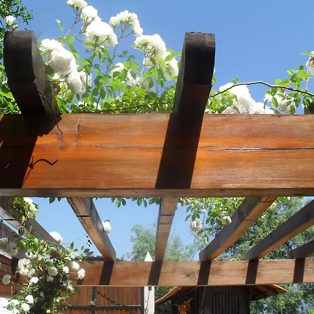 Countryside With Private Terrace Holiday home *